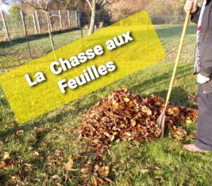 Lire la suite à propos de l’article La Chasse aux Feuillles