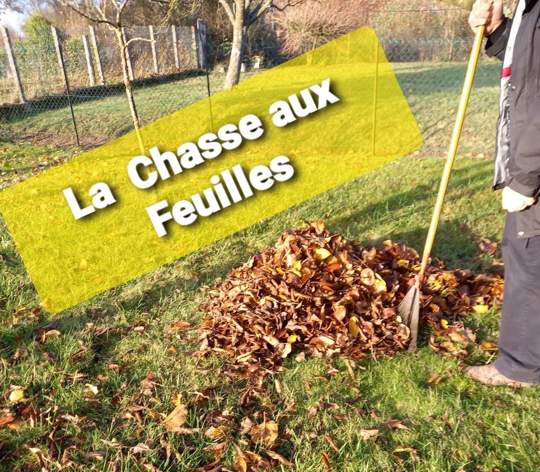 You are currently viewing La Chasse aux Feuillles