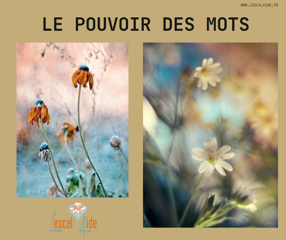 Le pouvoir des mots, quand le langage devient Énergie - L'Escal'Aide